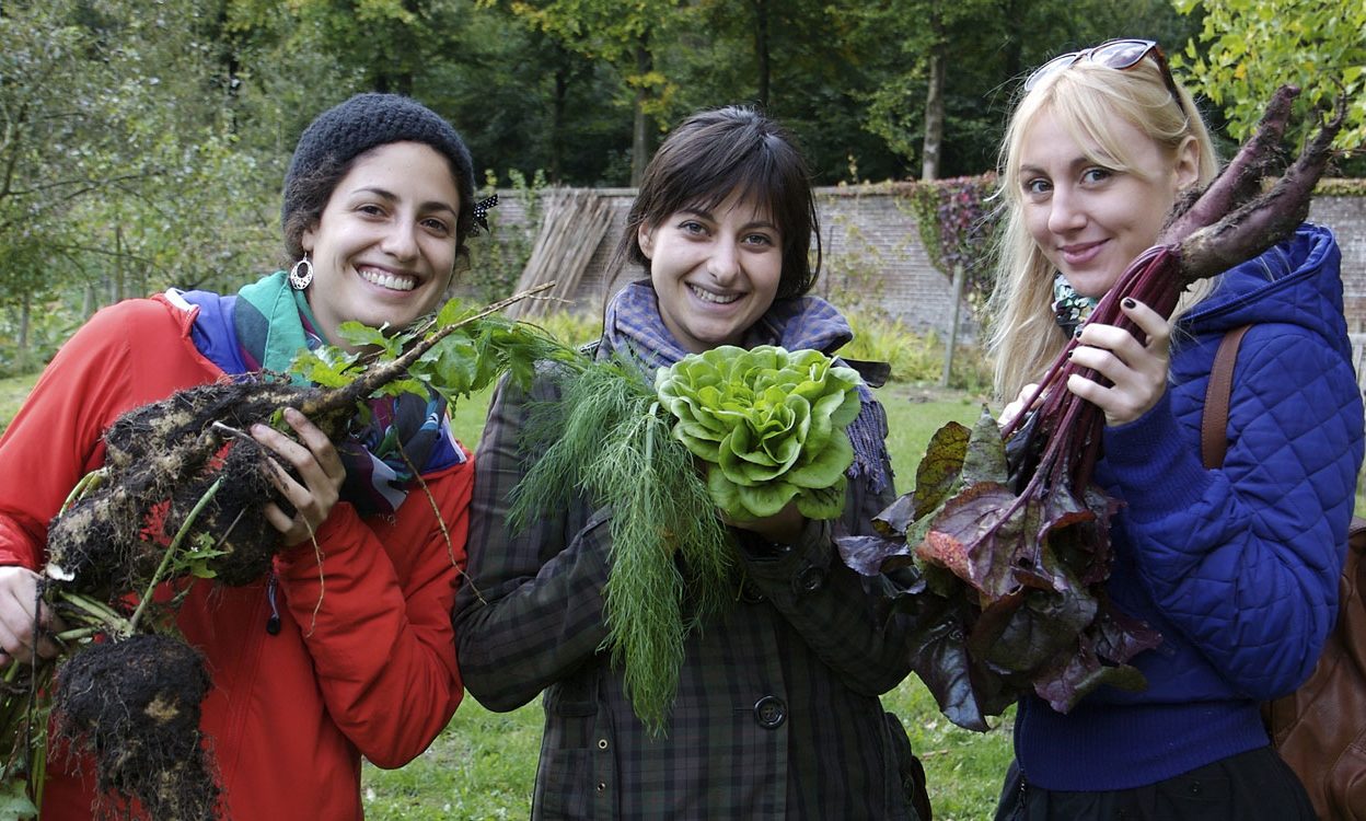 YFoEE participants in the reCAP campaign in the Netherlands