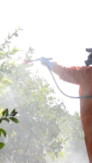 ⚠️Mancozeb. Fipronil. Glufosinate… these pesticides are banned in Europe for a reason: they are too toxic
for people and nature. 
Yet EU-based companies are still allowed to export them to countries with weaker protections - poisoning
farmers, contaminating water and ecosystems, and violating human rights around the world.
To expose this toxic double standard, communities across the world coordinated symbolic actions. Civil
society and farmer organisations from 13 countries in 5 different continents recorded themselves packing
bottles of these EU-banned pesticides into boxes destined to the European Commission.
In 2020, the European Commission pledged to end this practice. Five years later, that promise has not
been fulfilled #returntosender #bantoxicexports