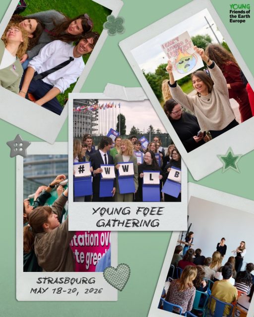 In May, 70 young people from Young Friends of the Earth Europe and Milieu Defensie Jong met in Strasbourg to take back our lobby power. We took part in two days of workshops focusing on deregulation in the EU and how we, as young people, can fight back. 

On the final day in Strasbourg, we took to the streets and, dressed as lobbyists, demonstrated in front of the European Parliament to let them know that WE WILL LOBBY BACK!! 

#wewilllobbyback